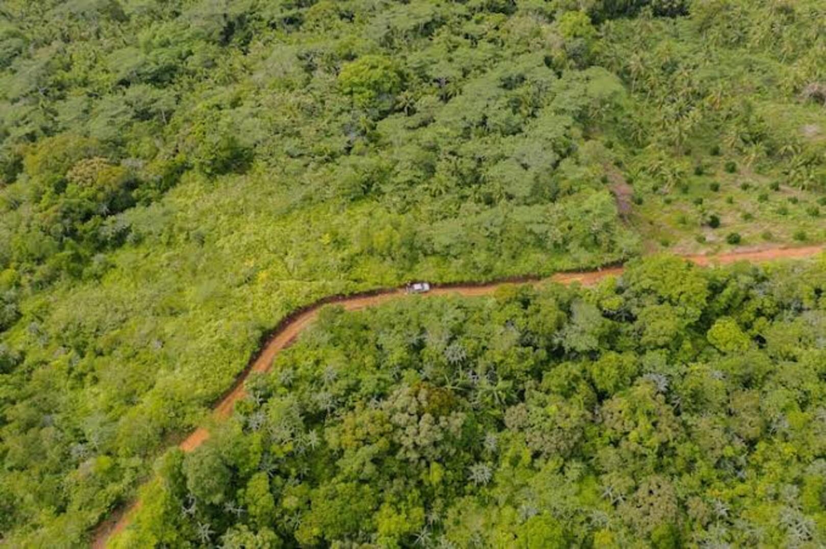 Côte d’Ivoire mobilizes 13.5 billion CFA francs for forest restoration in five central regions